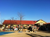 20161209 (12).JPG
