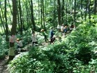 2017060304 (18).JPG