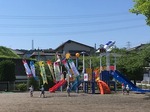 20180514 (12).JPG