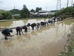 ６月１４日 (22).JPG