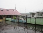 ６月７日 (7).JPG