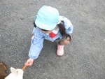 １１月１３日 (75).JPG