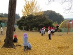 ２年１１月２０日 (10).JPG