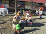 10-20211112 (06).JPG