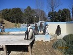 令和４年２月２４日 (15)ペンギン.JPG