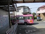 ６年４月１１日 (9).JPG