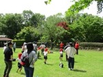 ６年５月１４日 (12).JPG