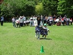 ６年５月１４日 (3).JPG