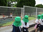 ６年５月２１日 (2).JPG