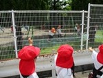 ６年５月２１日 (3).JPG
