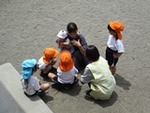 ６年５月２４日 (6).JPG
