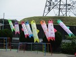 ６年５月２４日 (9).JPG