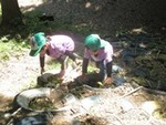 ６年６月１日林間遊び (14).JPG