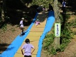 ６年６月１日林間遊び (7).JPG