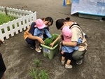 ６年６月１０日 (10).JPG