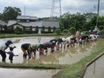 ６年６月１０日 (3).JPG