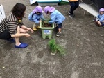 ６年６月１０日 (8).JPG