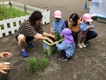 ６年６月１０日 (9).JPG