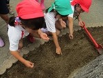 ６年６月６日 (13).JPG