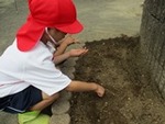 ６年６月６日 (15).JPG