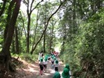 ６年６月６日 (19).JPG