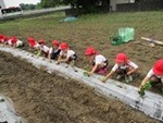 ６年６月６日 (6).JPG