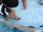６年７月１３日 (19).JPG