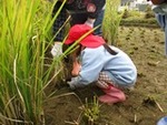 ６年１０月１６日 (15).JPG