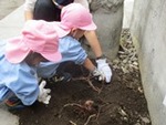 ６年１０月２９日 (17).JPG