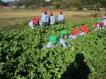 ６年１１月２５日 (9).JPG