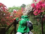 令和７年４月２４日 (12).JPG