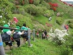 令和７年４月２４日 (17).JPG