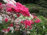 令和７年４月２４日 (18).JPG