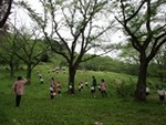 令和７年４月２４日 (25).JPG
