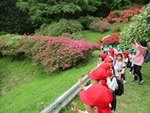 令和７年４月２４日 (7).JPG