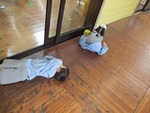 ７年４月１０日 (1).JPG