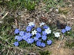７年４月７日 (1).JPG