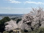 ７年４月７日 (12).JPG