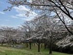 ７年４月７日 (16).JPG