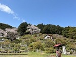 ７年４月７日 (2).JPG