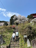７年４月７日 (3).JPG