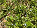 ７年４月７日 (4).JPG