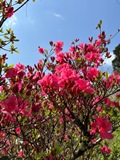 ７年４月７日 (6).JPG