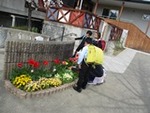７年４月８日 (3).JPG