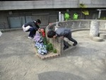 ７年４月８日 (5).JPG