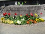 ７年４月９日 (8).JPG