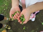 ７年５月２２日 (1).JPG