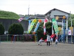 ７年５月７日 (2).JPG