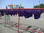 ７年６月１日 ①(6).JPG