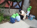７年６月１２日 (3).JPG